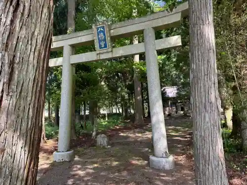 八幡神社(樺八幡神社)の鳥居