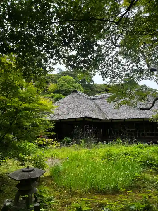 浄智寺の{uncategorized: "未分類", other: "その他", undefined: "問題あり", building: "その他建物", grave: "お墓", sacred_gate: "鳥居", guardian: "狛犬", statue: "像", buddha: "仏像", history: "歴史", nature: "自然", garden: "庭園", animal: "動物", pagoda: "塔", temizu: "手水舎", mountain_gate: "山門・神門", sanctuary: "本殿・本堂", subordinate: "末社・摂社", art: "芸術", scenery: "景色", jizo: "地蔵", ema: "絵馬", goshuin: "御朱印", omikuji: "おみくじ", items: "授与品その他", amulet: "お守り", goshuincho: "御朱印帳", eats: "食事", festival: "お祭り", votive_dance: "神楽", shichigosan: "七五三参", wedding: "結婚式", experience: "体験その他", initially: "初詣", around: "周辺", anti_infection: "感染症対策"}