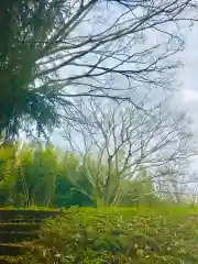 大宮神社の自然