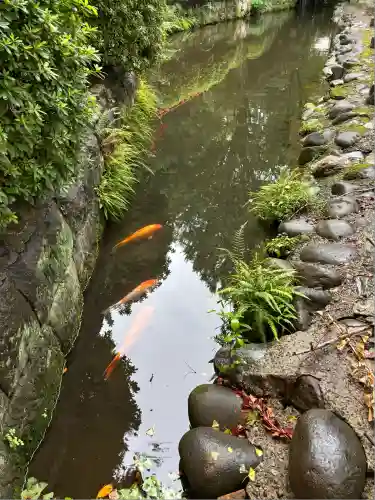 乙女稲荷神社(東京都)