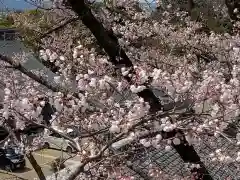 成田山名古屋別院大聖寺(犬山成田山)の自然