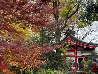 川越八幡宮(埼玉県)