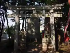 東伏見稲荷神社の鳥居