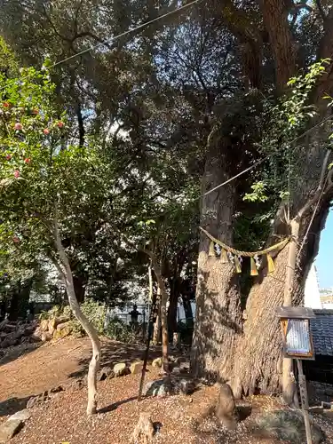 八景天祖神社(東京都)