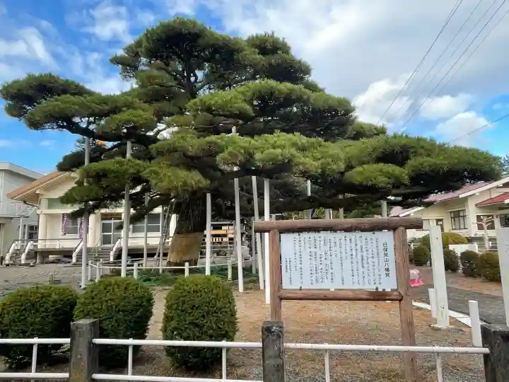 日保見山八幡宮の{uncategorized: "未分類", other: "その他", undefined: "問題あり", building: "その他建物", grave: "お墓", sacred_gate: "鳥居", guardian: "狛犬", statue: "像", buddha: "仏像", history: "歴史", nature: "自然", garden: "庭園", animal: "動物", pagoda: "塔", temizu: "手水舎", mountain_gate: "山門・神門", sanctuary: "本殿・本堂", subordinate: "末社・摂社", art: "芸術", scenery: "景色", jizo: "地蔵", ema: "絵馬", goshuin: "御朱印", omikuji: "おみくじ", items: "授与品その他", amulet: "お守り", goshuincho: "御朱印帳", eats: "食事", festival: "お祭り", votive_dance: "神楽", shichigosan: "七五三参", wedding: "結婚式", experience: "体験その他", initially: "初詣", around: "周辺", anti_infection: "感染症対策"}
