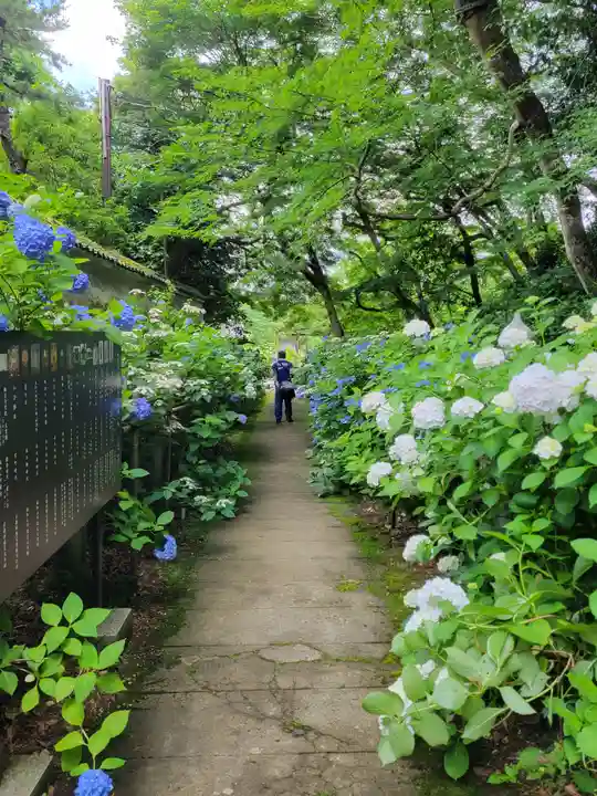 観音寺(京都府)
