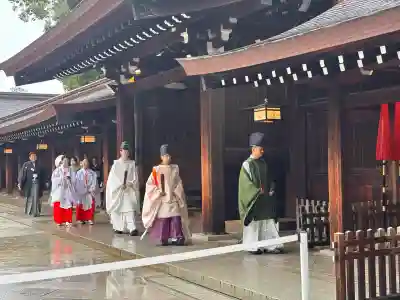 明治神宮(東京都)