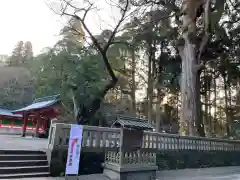 霧島神宮の建物その他