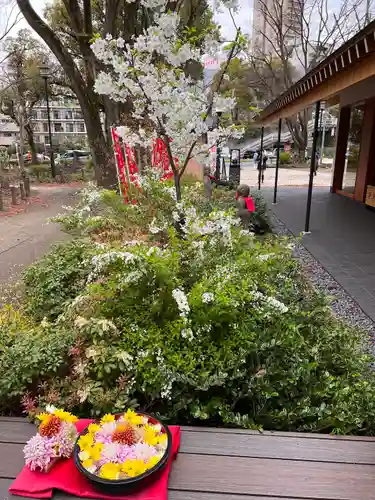 増上寺塔頭 三縁山 宝珠院の庭園