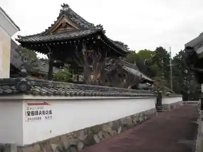 光徳寺(滋賀県)