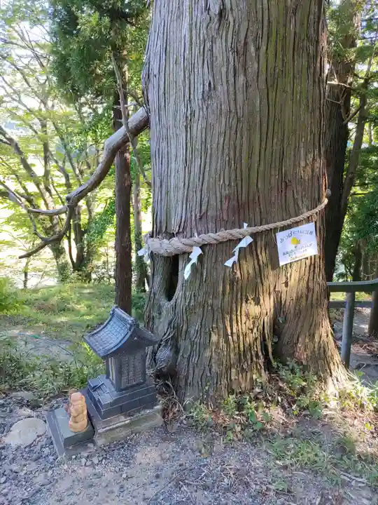 阿久津「田村神社」(郡山市阿久津町)旧社名:伊豆箱根三嶋三社(福島県)