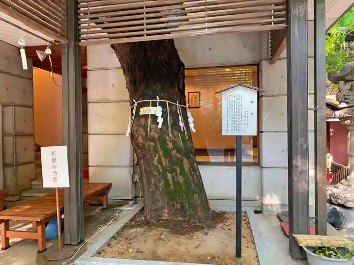 乃木神社の自然