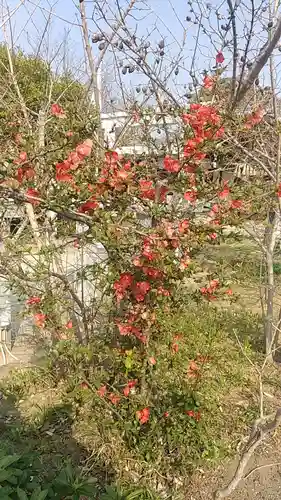 比佐豆知神社(三重県)