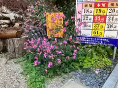 猿田彦三河神社(愛知県)