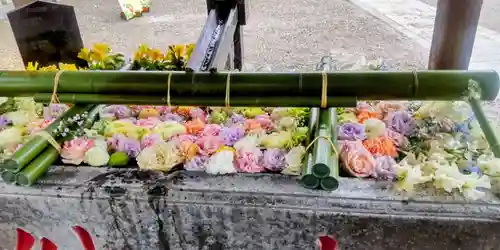 草加神社(埼玉県)