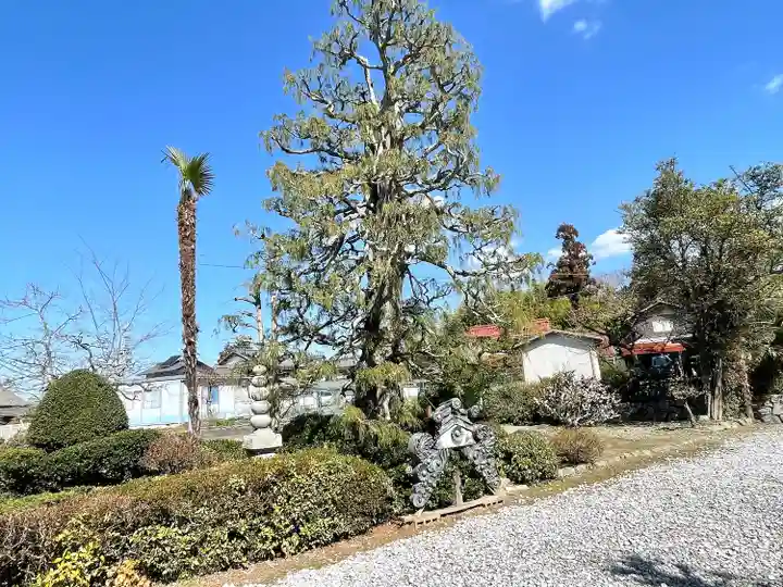 善福寺(滋賀県)