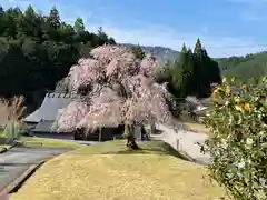 常照皇寺(京都府)