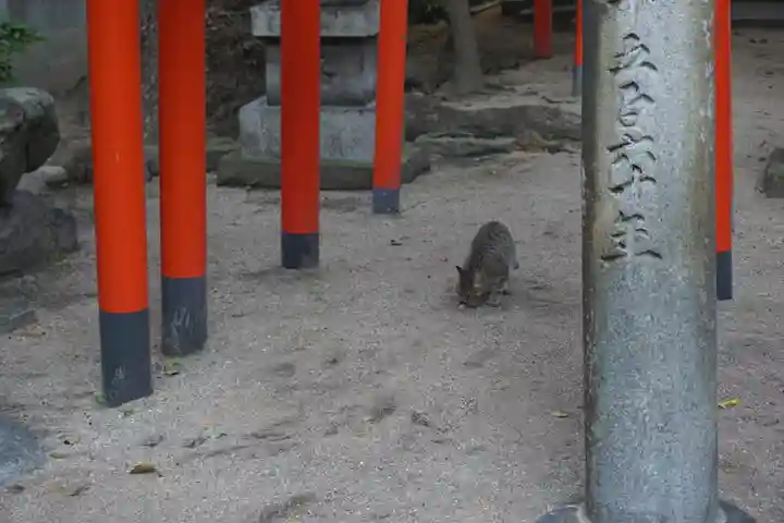 水鏡天満宮の動物