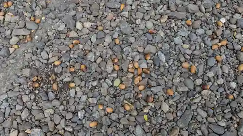 名寄神社の自然