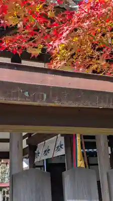 新熊野神社(京都府)