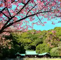 靜岡縣護國神社の景色