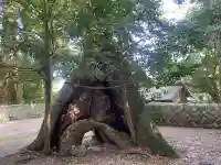 飛鳥神社の{uncategorized: "未分類", other: "その他", undefined: "問題あり", building: "その他建物", grave: "お墓", sacred_gate: "鳥居", guardian: "狛犬", statue: "像", buddha: "仏像", history: "歴史", nature: "自然", garden: "庭園", animal: "動物", pagoda: "塔", temizu: "手水舎", mountain_gate: "山門・神門", sanctuary: "本殿・本堂", subordinate: "末社・摂社", art: "芸術", scenery: "景色", jizo: "地蔵", ema: "絵馬", goshuin: "御朱印", omikuji: "おみくじ", items: "授与品その他", amulet: "お守り", goshuincho: "御朱印帳", eats: "食事", festival: "お祭り", votive_dance: "神楽", shichigosan: "七五三参", wedding: "結婚式", experience: "体験その他", initially: "初詣", around: "周辺", anti_infection: "感染症対策"}