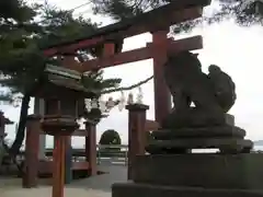 白鬚神社の狛犬