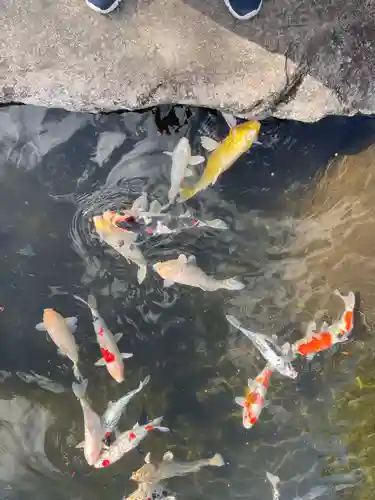 大室山龍渓院(静岡県)