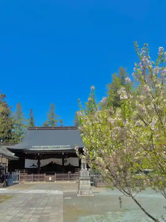 蚊里田八幡宮の{uncategorized: "未分類", other: "その他", undefined: "問題あり", building: "その他建物", grave: "お墓", sacred_gate: "鳥居", guardian: "狛犬", statue: "像", buddha: "仏像", history: "歴史", nature: "自然", garden: "庭園", animal: "動物", pagoda: "塔", temizu: "手水舎", mountain_gate: "山門・神門", sanctuary: "本殿・本堂", subordinate: "末社・摂社", art: "芸術", scenery: "景色", jizo: "地蔵", ema: "絵馬", goshuin: "御朱印", omikuji: "おみくじ", items: "授与品その他", amulet: "お守り", goshuincho: "御朱印帳", eats: "食事", festival: "お祭り", votive_dance: "神楽", shichigosan: "七五三参", wedding: "結婚式", experience: "体験その他", initially: "初詣", around: "周辺", anti_infection: "感染症対策"}