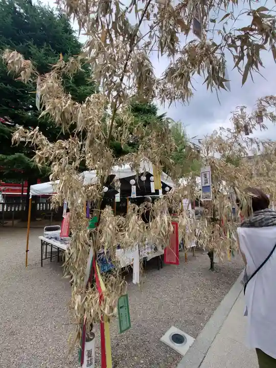 浅草神社のお祭り