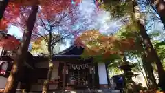 玉野御嶽神社の本殿