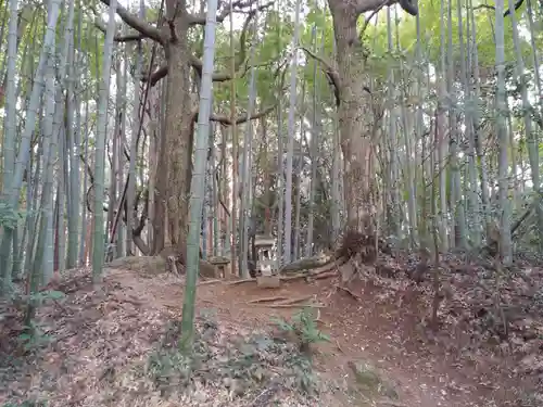 松尾神社の周辺