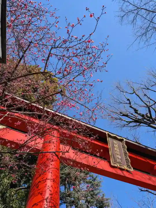 馬橋稲荷神社(東京都)