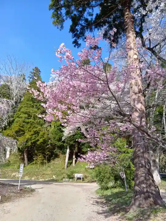 白幡八幡神社(福島県)