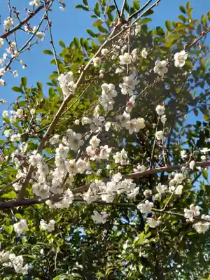下溝八幡宮(神奈川県)
