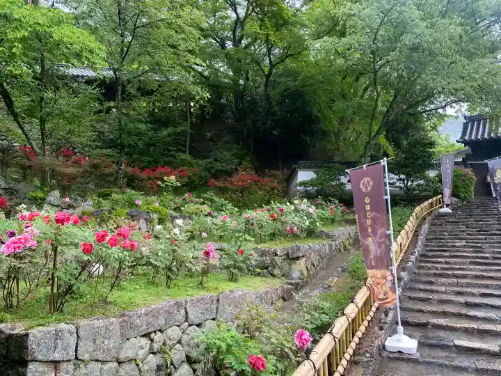 長谷寺の{uncategorized: "未分類", other: "その他", undefined: "問題あり", building: "その他建物", grave: "お墓", sacred_gate: "鳥居", guardian: "狛犬", statue: "像", buddha: "仏像", history: "歴史", nature: "自然", garden: "庭園", animal: "動物", pagoda: "塔", temizu: "手水舎", mountain_gate: "山門・神門", sanctuary: "本殿・本堂", subordinate: "末社・摂社", art: "芸術", scenery: "景色", jizo: "地蔵", ema: "絵馬", goshuin: "御朱印", omikuji: "おみくじ", items: "授与品その他", amulet: "お守り", goshuincho: "御朱印帳", eats: "食事", festival: "お祭り", votive_dance: "神楽", shichigosan: "七五三参", wedding: "結婚式", experience: "体験その他", initially: "初詣", around: "周辺", anti_infection: "感染症対策"}