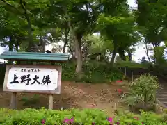 上野大佛の建物その他