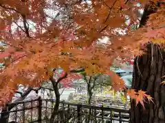 深大寺の自然