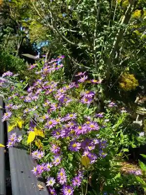 石都々古和気神社(福島県)