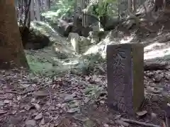 名草厳島神社の自然