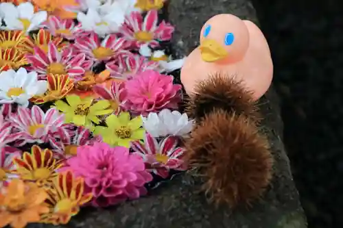 大鏑神社の手水