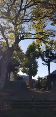 高須香取神社のその他建物