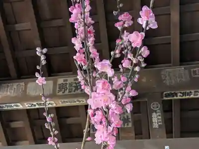 赤坂氷川神社(東京都)