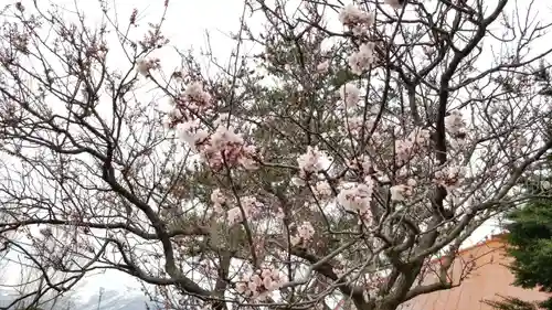 帰厚院(北海道)