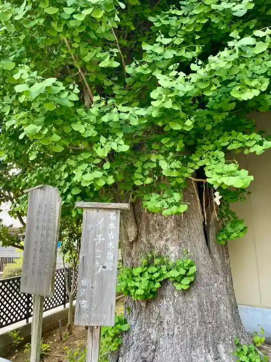 根岸八幡神社(神奈川県)