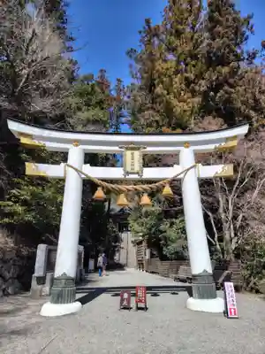 宝登山神社(埼玉県)