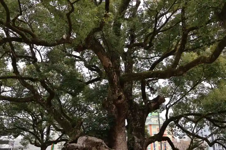 諫早神社(九州総守護 四面宮)(長崎県)