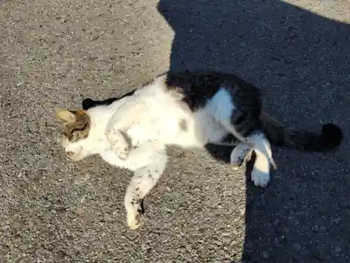 真野寺(千葉県)