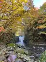 止滝神社の自然