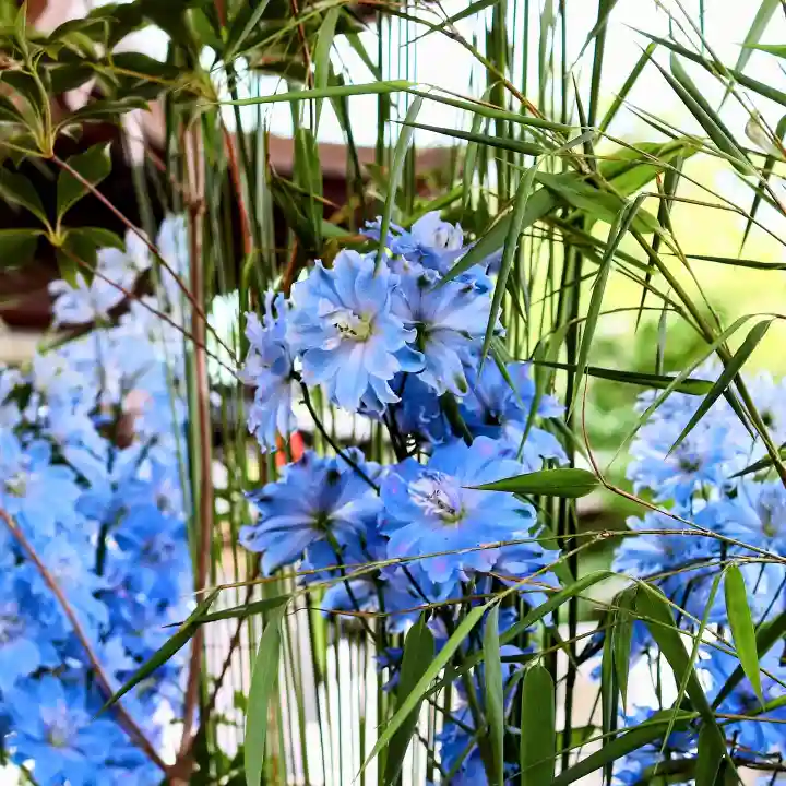 三津厳島神社の手水舎